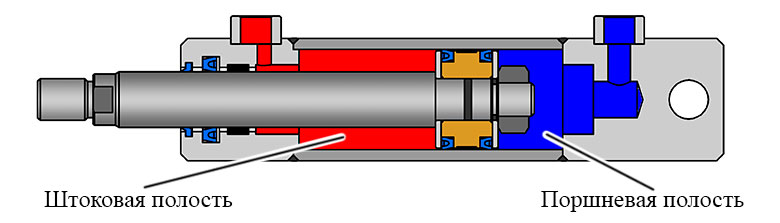Поршневая и штоковая полости гидроцилиндра
