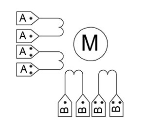 Схема электродвигателя с восемью выводами