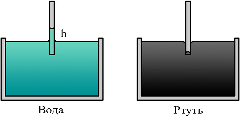Капиллярный эффект для воды и противоположный для ртути
