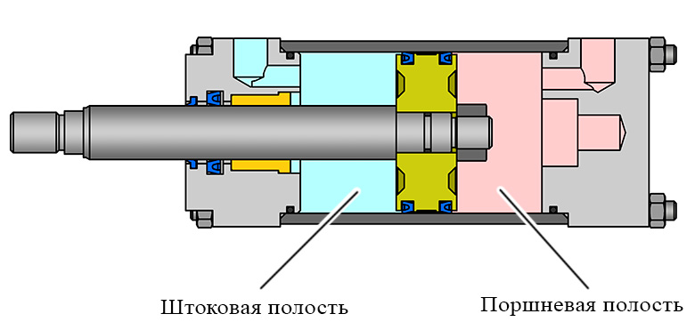 Поршневая и штоковая полости пнемоцилиндра