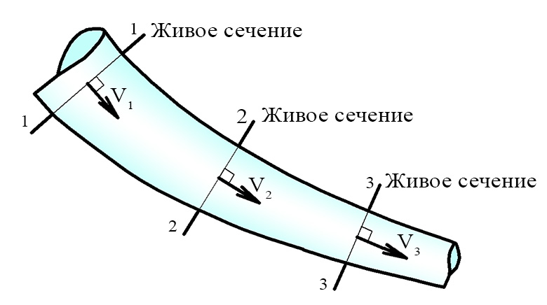 Живое сечение потока жидкости Живое сечение потока жидкости