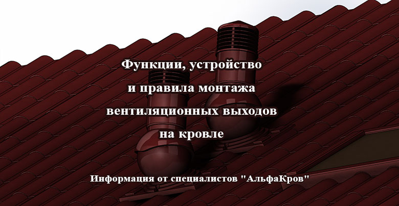 Вентиляционные выходы на крыше дома Вентиляционные выходы на крыше дома